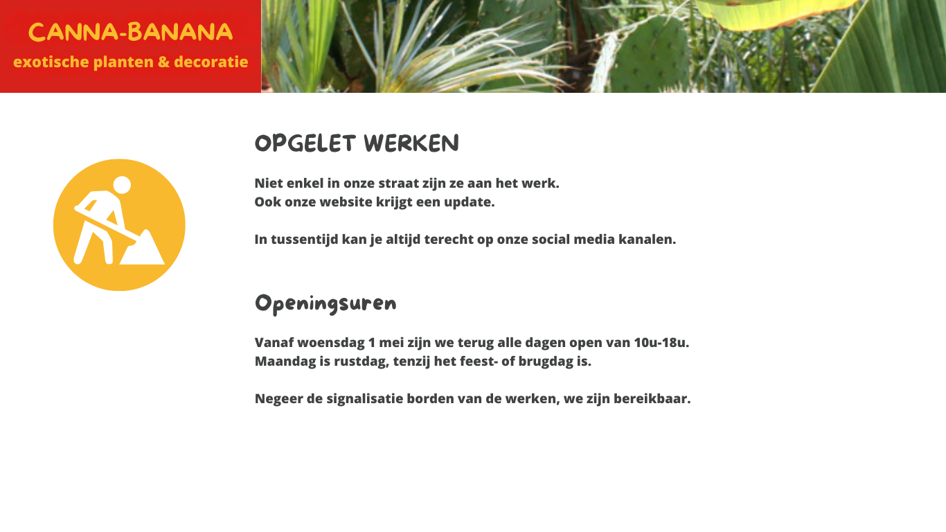 Canna bannana home